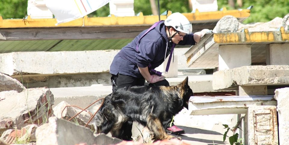 Schäferhündin „Yuma“ hat Hundeführerin Daniela Westheide zum Versteck geführt.