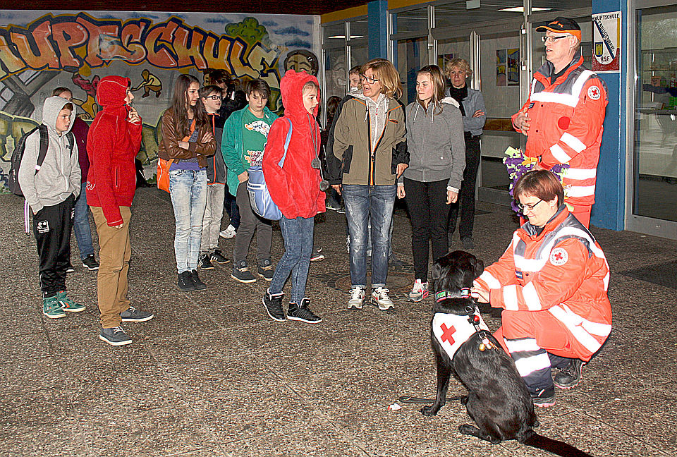 DRK-Rettungshund Tara stand jetzt im Mittelpunkt der Hunde AG an der Gesamtschule Freudenberg. Foto: DRK
