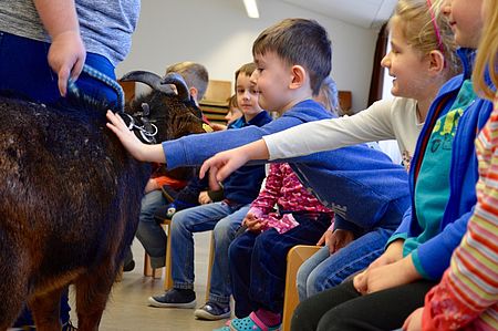 Die Ziege „Poldi“ wurde aufgeregt und mit ein wenig Respekt von den Kindergartenkindern gestreichelt.